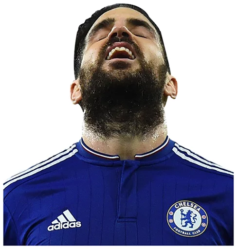 человеческое лицо одежда Человек