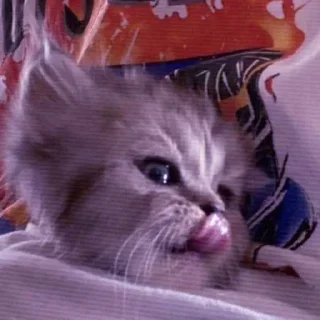 Стикер lovelucky - 2