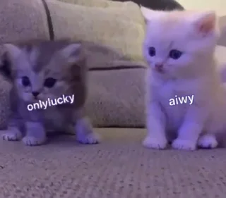 Стикер lovelucky - 7