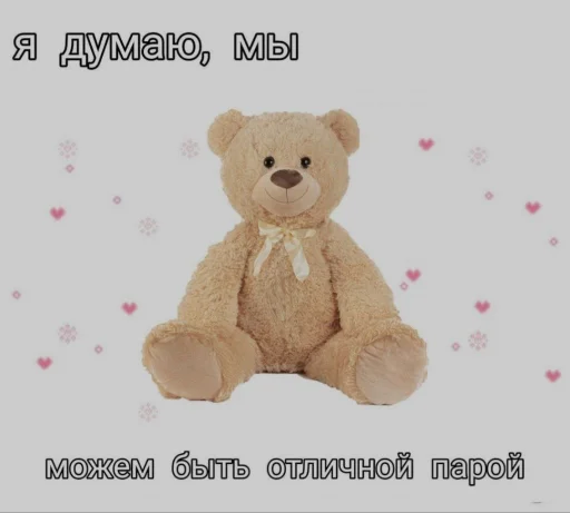 teddy teddy bear bear