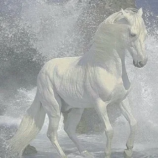 Sticker i n f i n i t y - 10