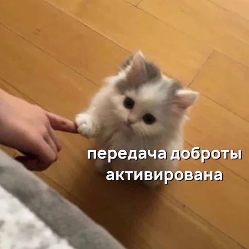 Sticker love_yourself_plz - 1