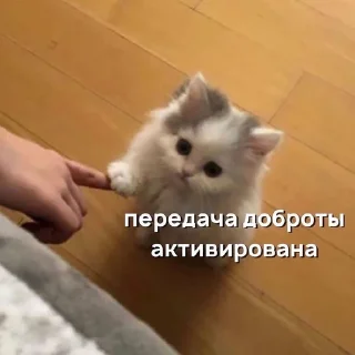 Sticker сохраненки дари - 1