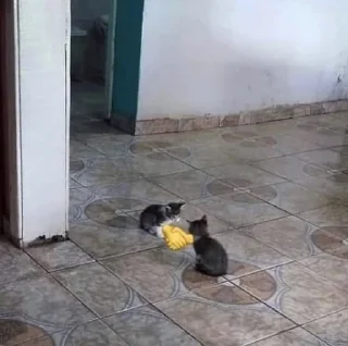 Sticker сохраненки дари - 7