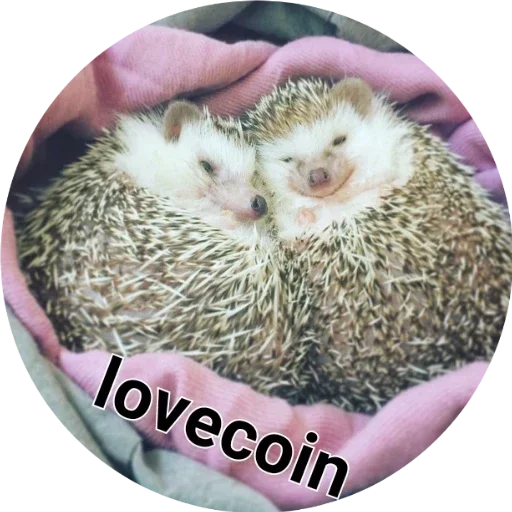 Sticker LoveCoin21 by @fStikBot - 4