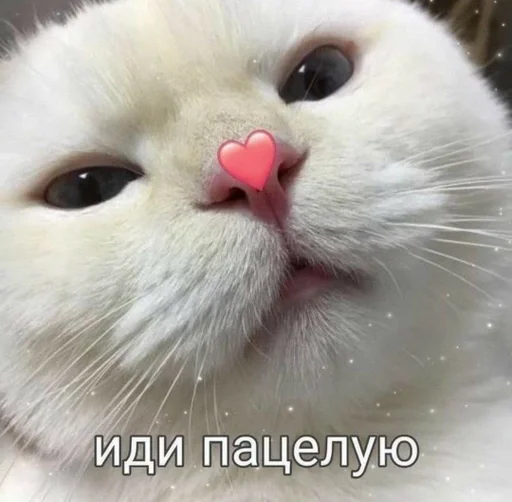 Sticker LoveForYou :: @fStikBot - 7