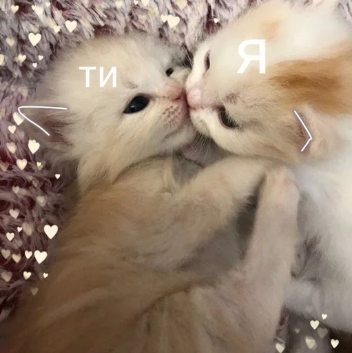 Sticker LoveForYou :: @fStikBot - 5