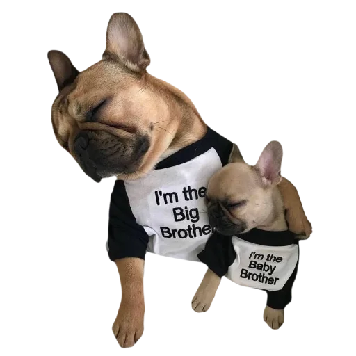 Стикер lovefrenchie - 1