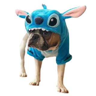 Sticker frenchies - 1