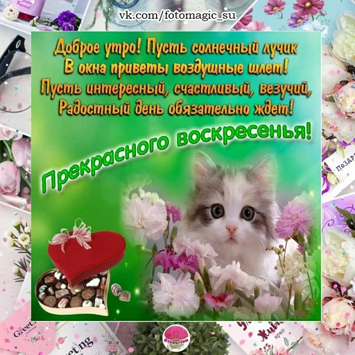 Sticker @loveorhateyou :: @fStikBot - 0