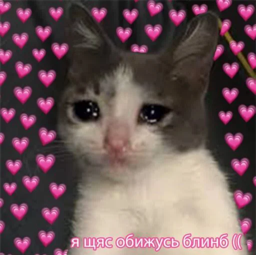 Стикер милые пикчи - 9