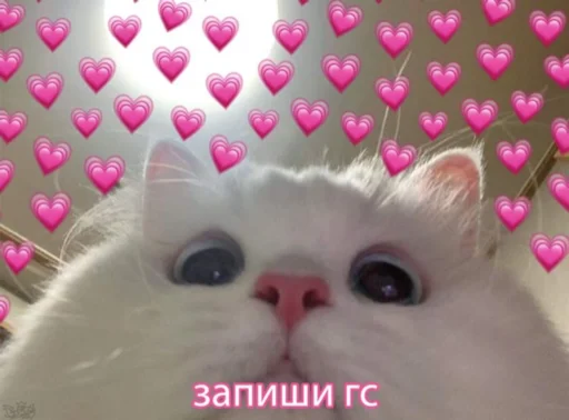 Стикер милые пикчи - 6