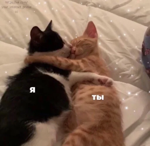 Стикер милые пикчи - 5