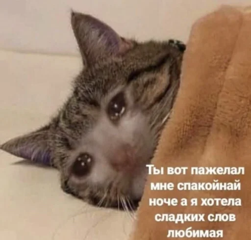 Стикер милые пикчи - 4