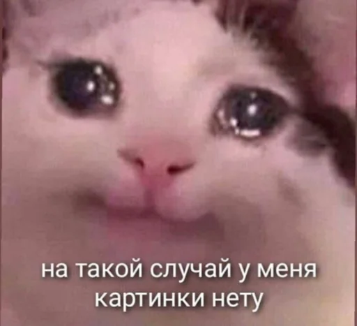 Стикер милые пикчи - 3