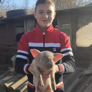 Sticker Токсикики - 1