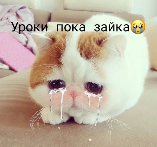 Стикер Ехехе :: @fStikBot - 5