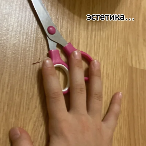 Sticker loxushka833883 - 1