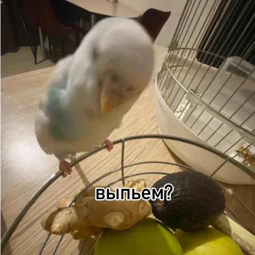 Sticker loxushka833883 - 1