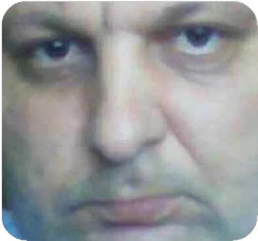 человеческое лицо лоб бровь