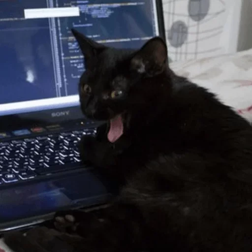 Sticker lppwpr_by_GoStikers_bot - 1