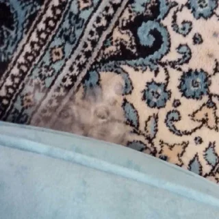 Sticker Больше стиков тут: @gostikers - 7