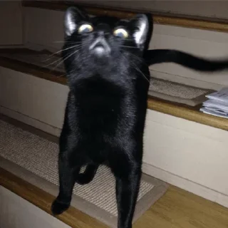 Sticker Больше стиков тут: @gostikers - 9