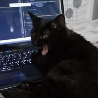 Sticker Больше стиков тут: @gostikers - 8