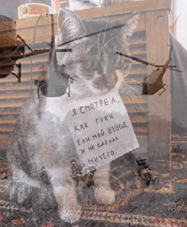 Sticker Больше стиков тут: @gostikers - 1