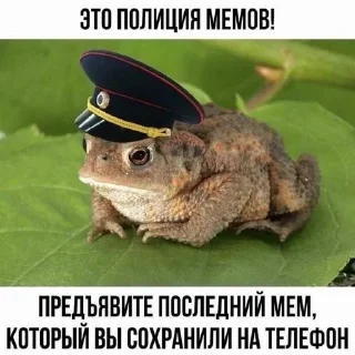 Sticker @albertvictory - 5