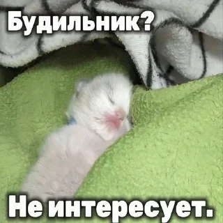 Sticker @albertvictory - 9