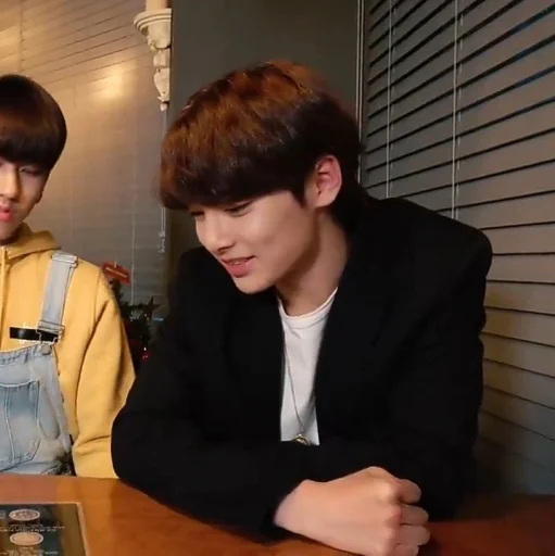 Человек человеческое лицо комнатный