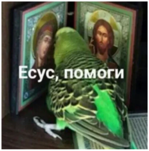 Стикер ls0vest - 1