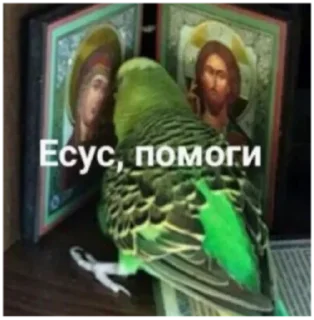 Стикер 𝐬☼𝐯𝐞𝐬𝐭 - 8