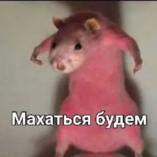 Стикер 𝐬☼𝐯𝐞𝐬𝐭 - 4