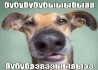 Стикер Больше стиков тут: @stikery4 - 11