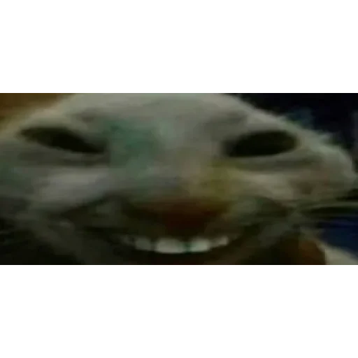 Sticker Стикосы на все случаи жизни - 10