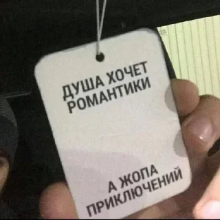 Sticker lsaidjonnml - 9