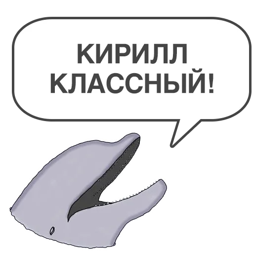 text marine mammal graphics