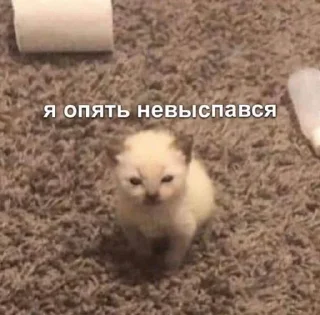 Sticker lskras2.0 - 9