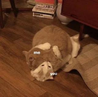 Sticker lskras2.0 - 4