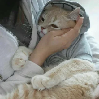 Sticker любимое - 5