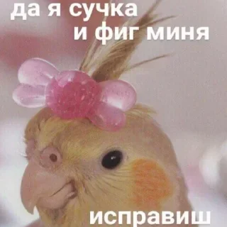 Sticker любимое - 10
