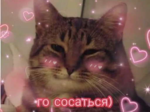 Стикер для моего любимого котенка :: @fStikBot - 7