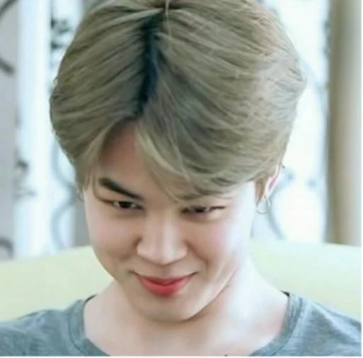 person hairpiece clothing