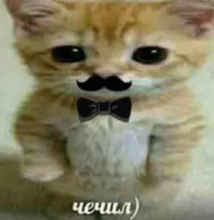 Sticker хайпик by кабирик - 7