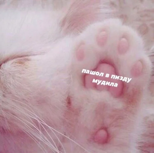 Стикер luchik_sveta - 1