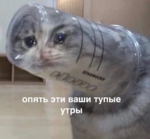 Sticker luchik_sveta - 1