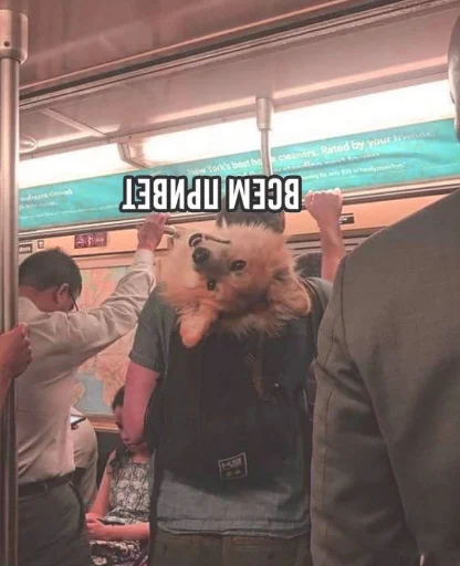 Sticker luchik_sveta - 1