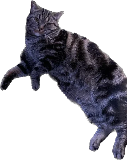 Sticker lucrinhefree - 1